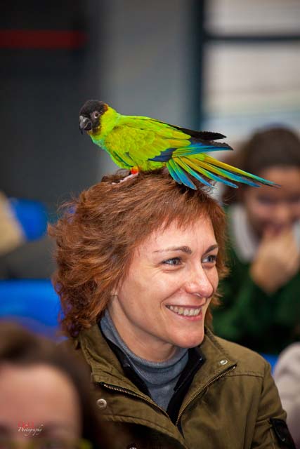Semana Ciencias en Los Tilos